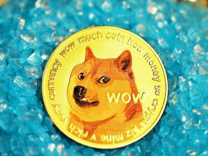 Shiba Inu Coin